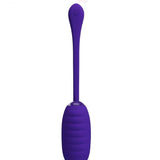 Kirk Rechargeable Vibrating Egg - Purple BI-014654-3