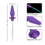 Southern Lights Vibrating Light Up Anal Probe (Purple) | Immersive Light-Up Vibration for Dazzling Pleasure Sale