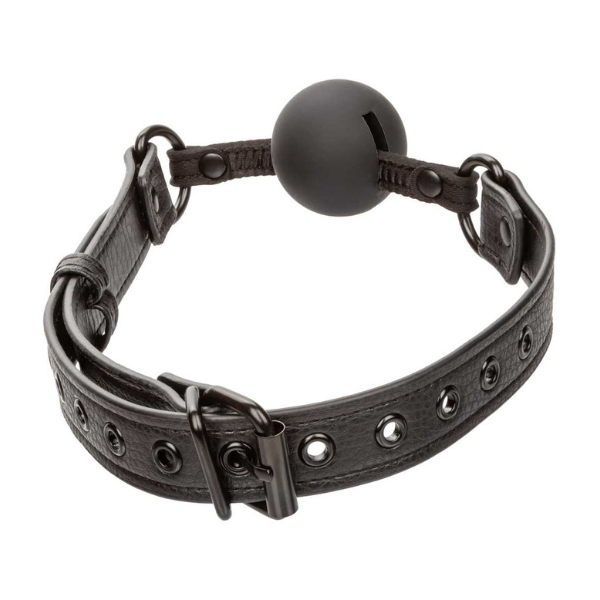 Nocturnal Collection Ball Gag | Premium Comfort and Control for Sensory Play CalExotics