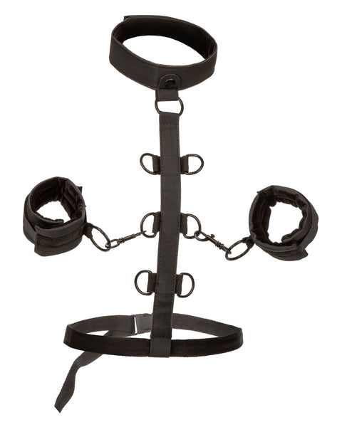 Boundless Collar Body Restraint - Black SE2702813