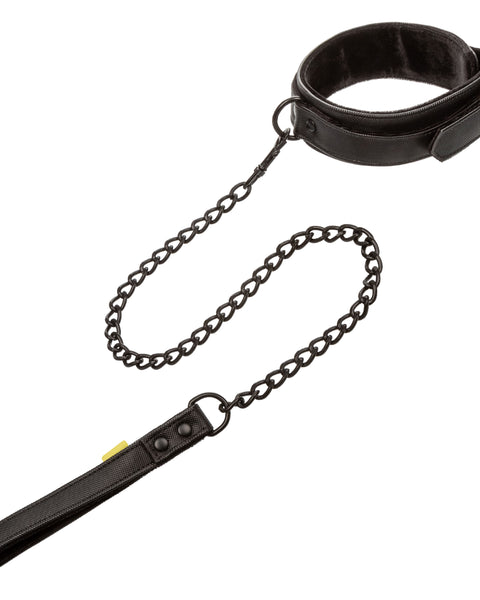 Boundless Collar & Leash SE2702403