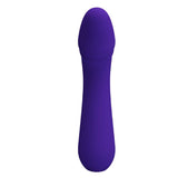 Cetus Rechargeable Vibrator - Purple Pretty Love