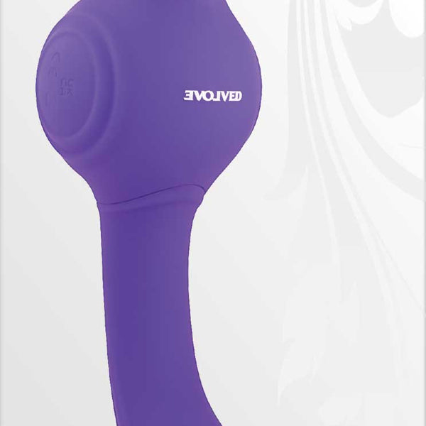 Our Gyro Vibe - Purple Evolved Novelties