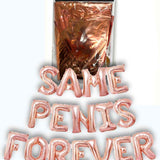 Glitterati Same Penis Balloon Banner - Pink Little Genie