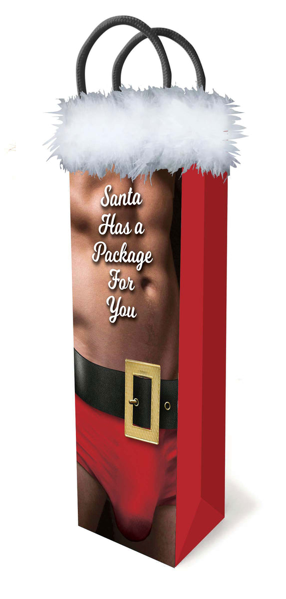 Santa Has a Big Package for You Little Genie