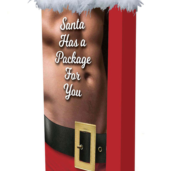 Santa Has a Big Package for You Little Genie