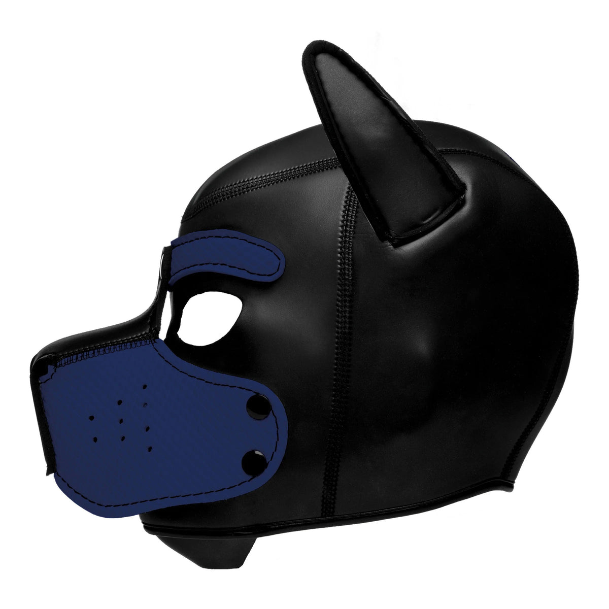 Spike Neoprene Puppy Hood - Blue XR Brands Master Series