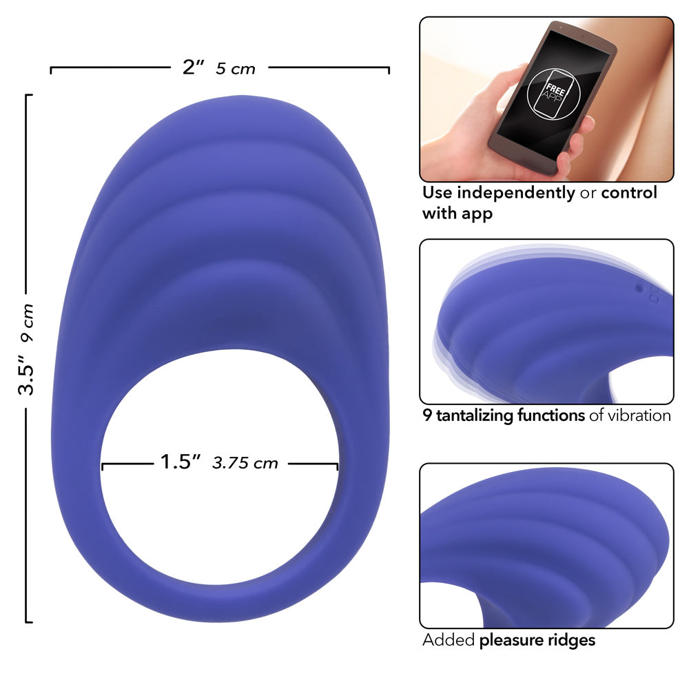 Calexotics Connect Couples Ring - Periwinkle CalExotics