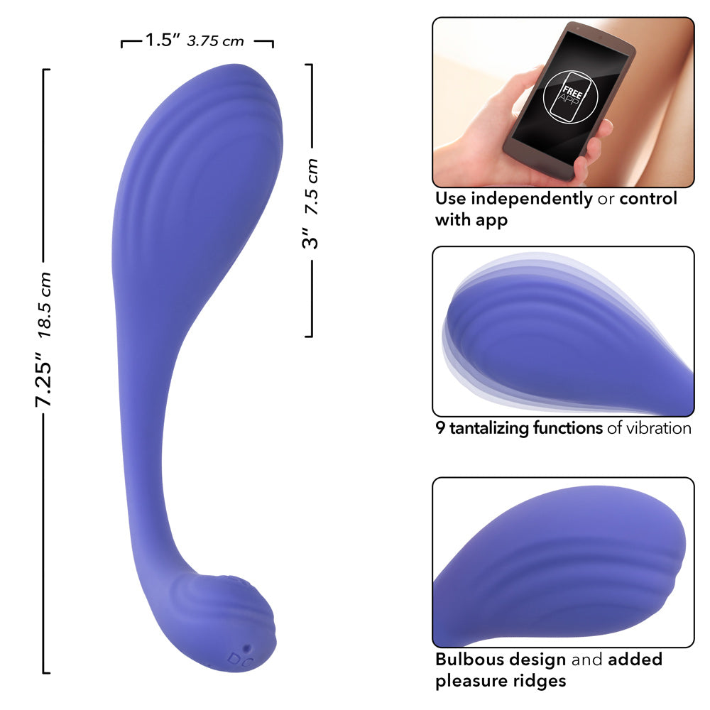 Calexotics Connect Kegel Exerciser - Periwinkle CalExotics