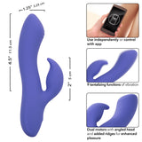 Calexotics Connect Dual Stimulator - Periwinkle CalExotics