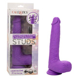 Rechargeable Gyrating and Thrusting Silicone Studs - Purple CalExotics