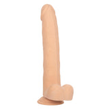 Size Queen 10 inch/25.5 Cm - Ivory CalExotics