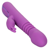 Jack Rabbit Elite Thrusting Rabbit - Purple CalExotics