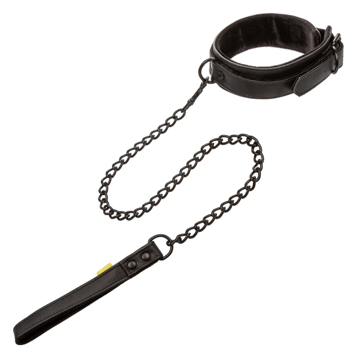 Boundless Collar & Leash CalExotics