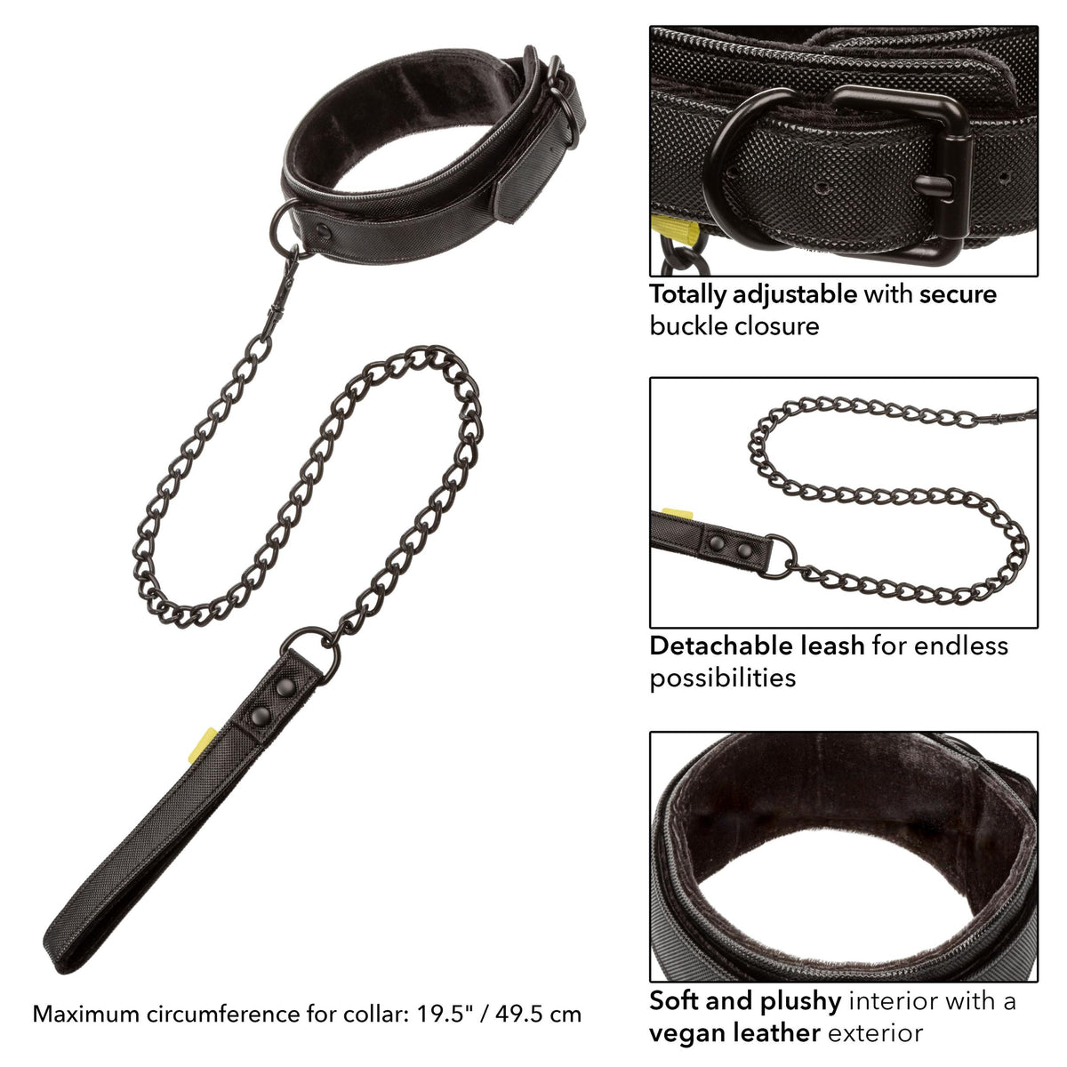 Boundless Collar & Leash CalExotics