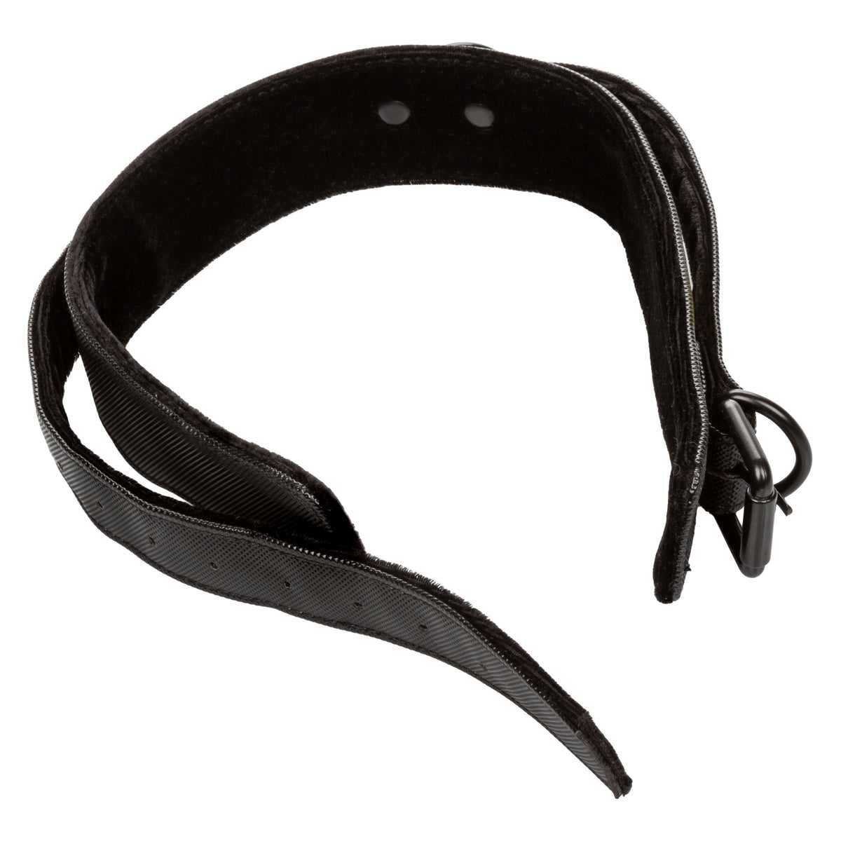 Boundless Collar & Leash CalExotics