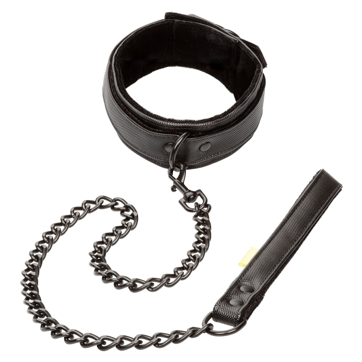 Boundless Collar & Leash CalExotics