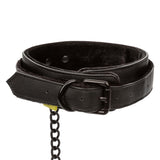 Boundless Collar & Leash CalExotics