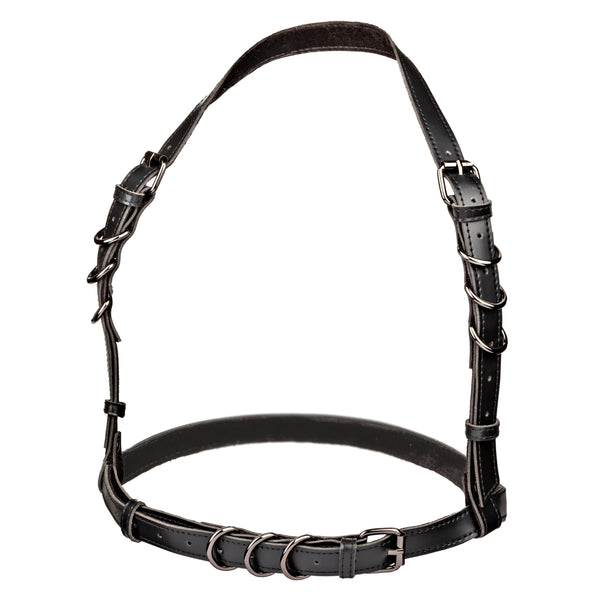 Euphoria Collection Halter Buckle Harness - Black CalExotics