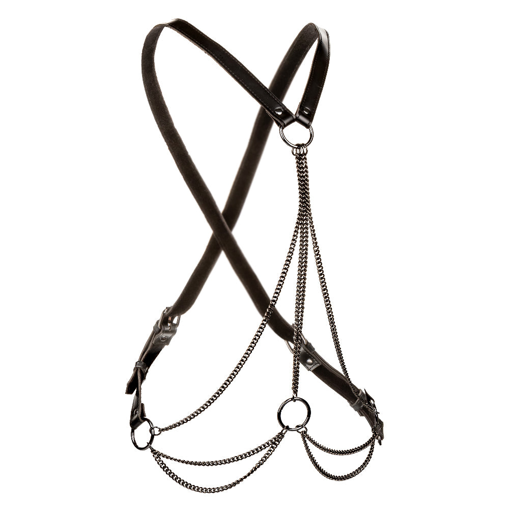 Euphoria Collection Multi Chain Harness - Black CalExotics