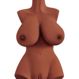 Perfect 10 Torso - Brown PDRD614-29