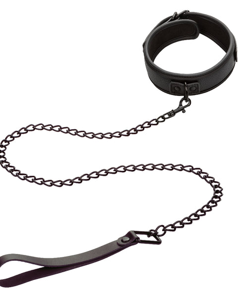 Nocturnal Collection  Collar and Leash - Black SE2678103