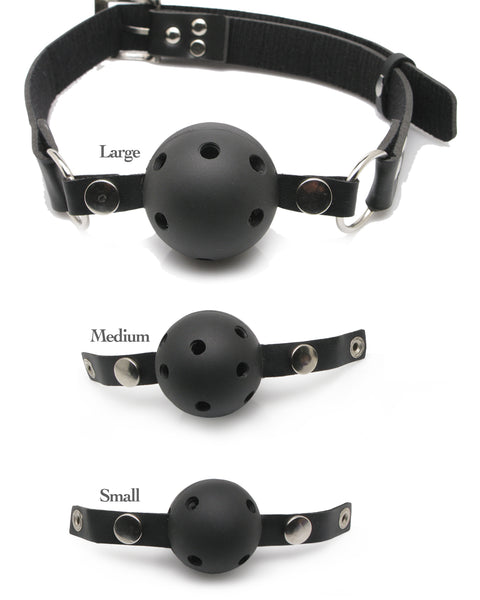 Fetish Fantasy Series Ball Gag Training System PD3841-00