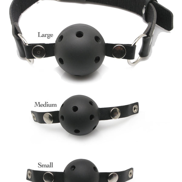 Fetish Fantasy Series Ball Gag Training System PD3841-00