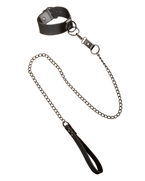 Euphoria Collection Collar With Chain Leash -  Black SE3100553