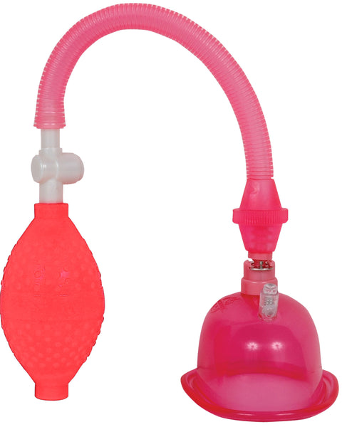 Pussy Pump in a Bag - Pink DJ5006-02-BG