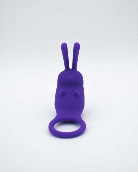 The Cock Hopper Cock Ring and Bullet Vibrator -  Purple LAK-9104