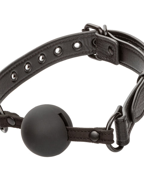 Nocturnal Collection Ball Gag - Black SE2678053